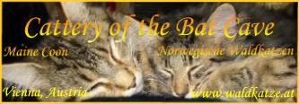 cattery batcave NFO