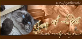 cattery joy of life british shorthair